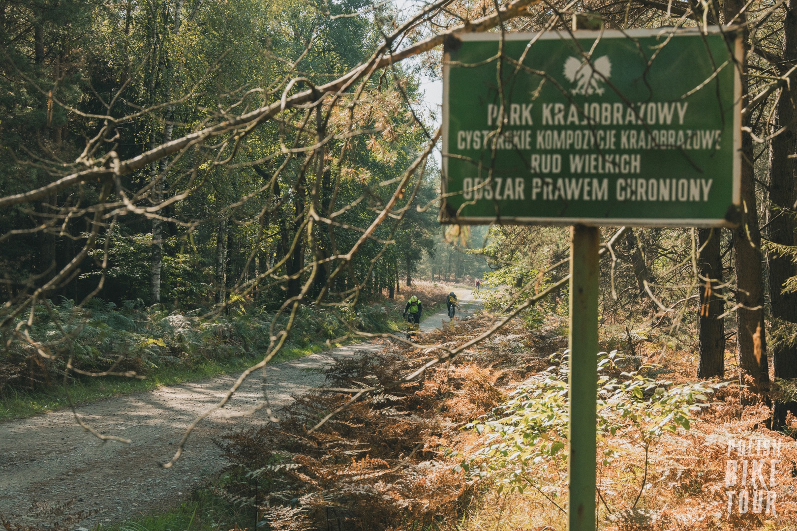 Accent gravel Freak V2 x Kasper Tochowicz x Polish Bike Tour