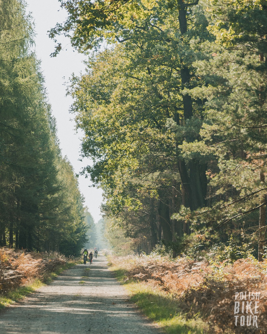 Accent gravel Freak V2 x Kasper Tochowicz x Polish Bike Tour
