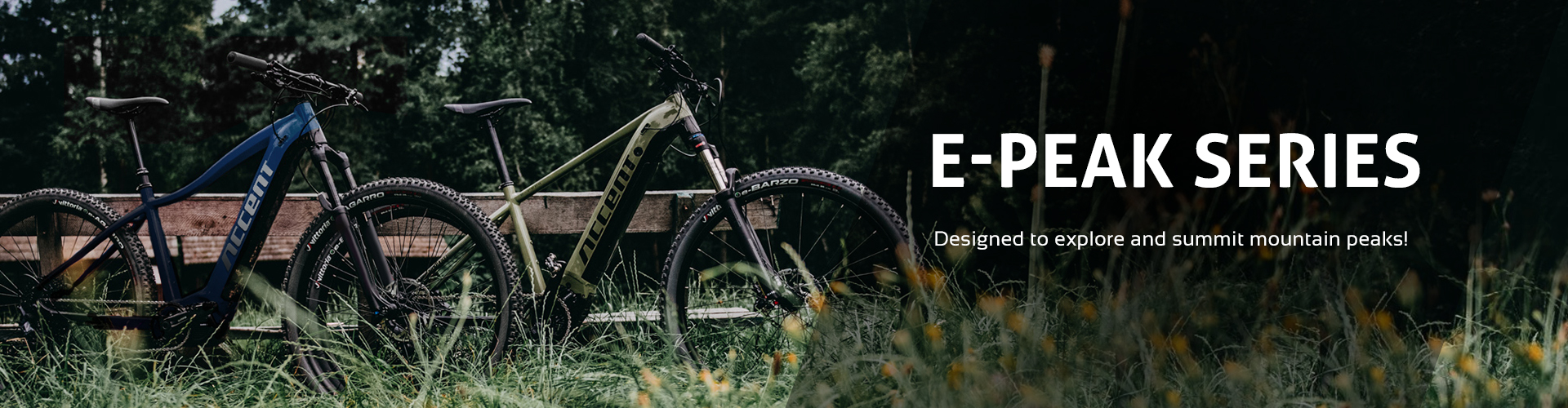 MTB e-bikes E-Peak