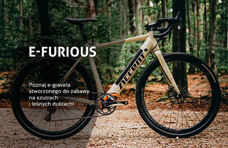 Gravel e-bike E-Furious